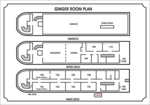 Ginger_Layout