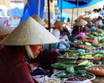 taste of north vietnam with halong bay cruise